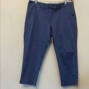 Tommy Hilfiger cornflower blue ankle pants Size 16 EUC